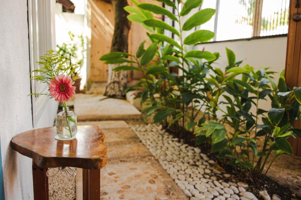 Couette-café Selva Maya