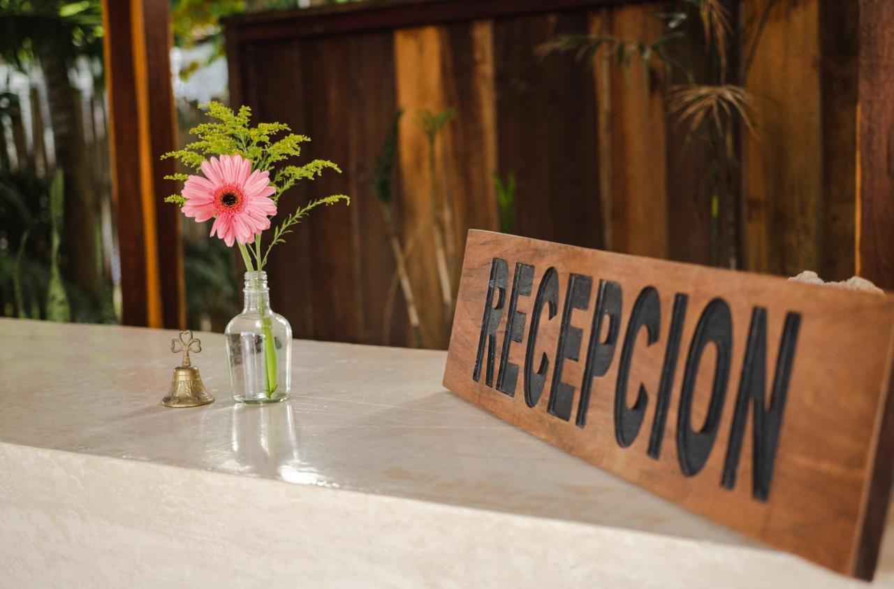 Selva Maya Couette-café Bacalar
